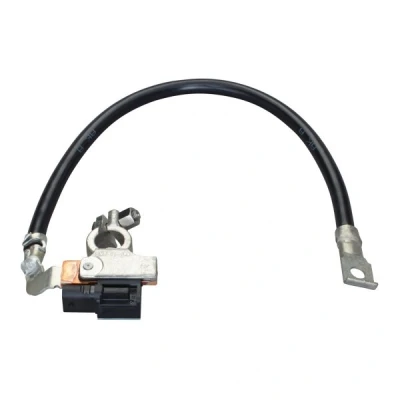 Afbeelding van Hella Sensor accumanagement 6PK 010 562 931