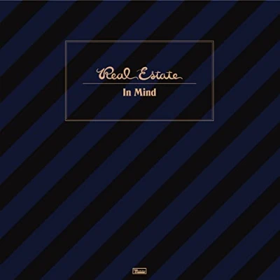 Afbeelding van Real Estate In Mind (LP)