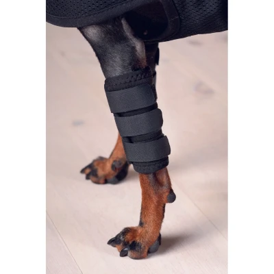Afbeelding van Back on Track Peesbeschermer Hond Klitteband Zwart L
