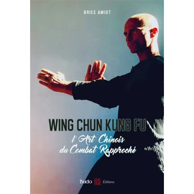 Image de Wing chun kung fu