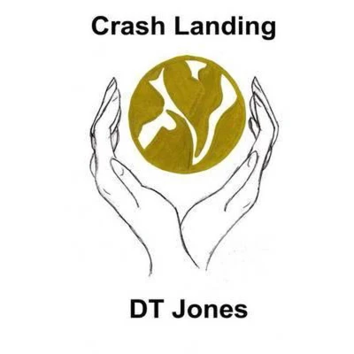 Afbeelding van Crash Landing