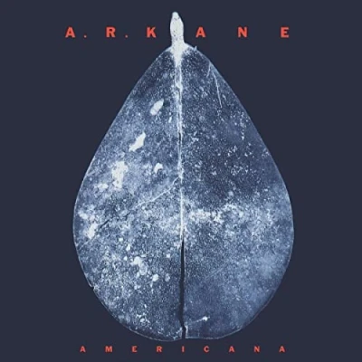 Afbeelding van A.R. Kane Americana (2 LPs)