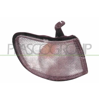 Afbeelding van PRASCO DS0694113 Lampglas, knipperlamp Rechts voor
