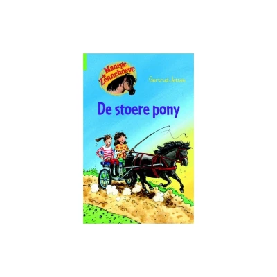Afbeelding van Manege De Zonnehoeve stoere pony