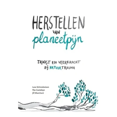 Afbeelding van Herstellen van planeetpijn