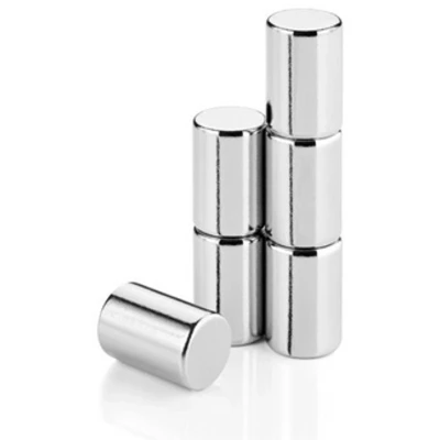 Afbeelding van Blomus Velio set met 6 magneten 65369