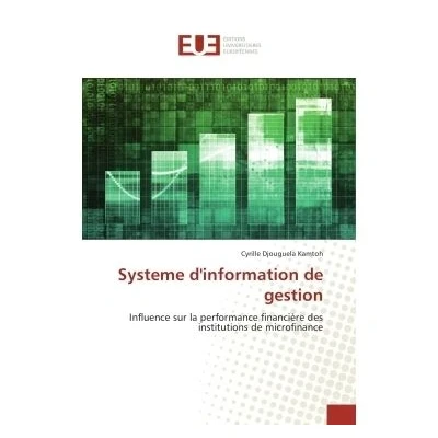 Image de Systeme d&#039;information de gestion