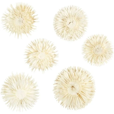 Afbeelding van CC Gedroogde Bloemen Wit 6 stuks
