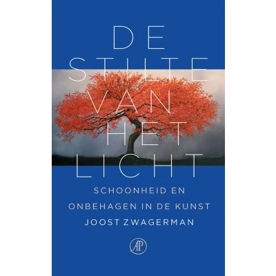Afbeelding van De stilte van het licht
