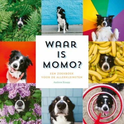Afbeelding van Uitgeverij condor kartonboek waar is momo?