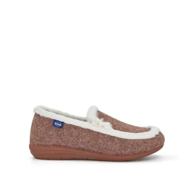 Afbeelding van Instapper Scholl Women Milly Shoe Brown Schoenmaat 37