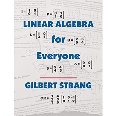 Afbeelding van Linear Algebra for Everyone
