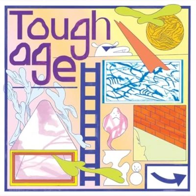 Afbeelding van Tough Age Shame (CD)