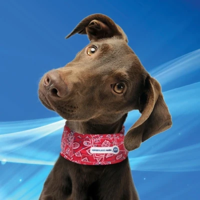 Afbeelding van Aqua Coolkeeper Koelhalsband Red Western