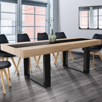 Afbeelding van Table à manger PHOENIX 10 personnes bois et noir bande centrale noire 225 cm