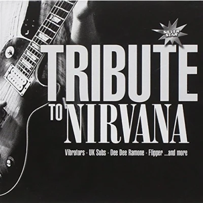 Afbeelding van Tribute to Nirvana