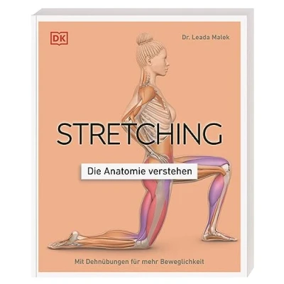 Afbeelding van Stretching Die Anatomie verstehen