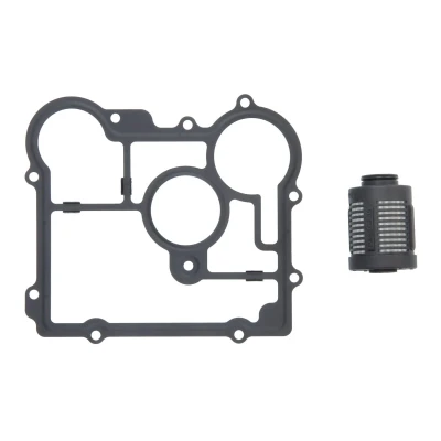 Afbeelding van BorgWarner DS2006273 Hydrauliekfilter, Haldex koppeling AUDI: A3 Sportback, TT Roadster, Hatchback, VOLKSWAGEN: Tiguan I, SKODA: Superb III Estate