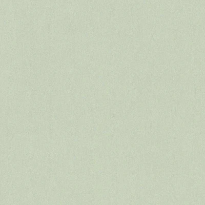 Afbeelding van EFFEN BEHANG Modern licht groen A.S. Création Little Love