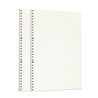 Afbeelding van Zelten Bulk 6 gaats ponspapiervullingen Persoonlijke organizer Navulbaar notitieboek Vierkant A4/30 Gaten