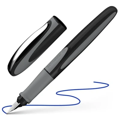 Afbeelding van Schneider S 168207 Vulpen Ray M Onyx