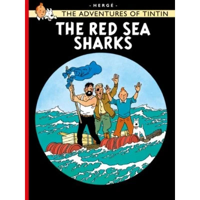 Image de Red sea sharks
