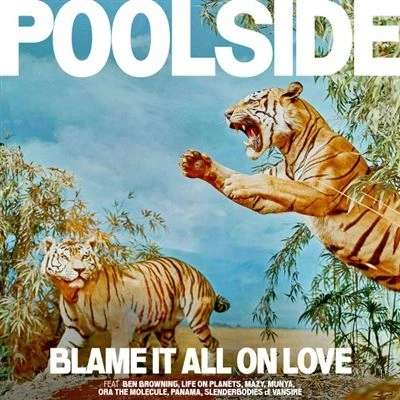 Image de Blame It All On Love