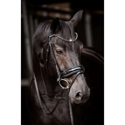 Afbeelding van HB Showtime Hoofdstel Evalira Zwart Pony