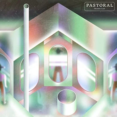 Afbeelding van Phantom Limb Pastoral (LP)