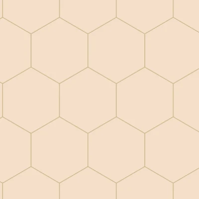 Afbeelding van ESTAhome behang hexagon licht perzikroze 139226 0,53 x 10,05 m
