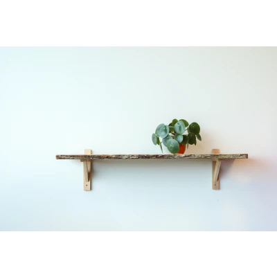 Afbeelding van Wovar Houten Plankdrager 25 x 30 cm Beuken Per Stuk