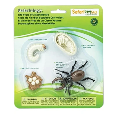 Afbeelding van Safari Safariology Ltd Set van 4 levenscyclus speelgoedfiguren een vliegende hertenkever voor jongens en meisjes vanaf jaar, realistische cijfers