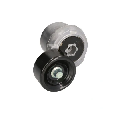 Afbeelding van Gates Spanrol (poly) V riem T39073