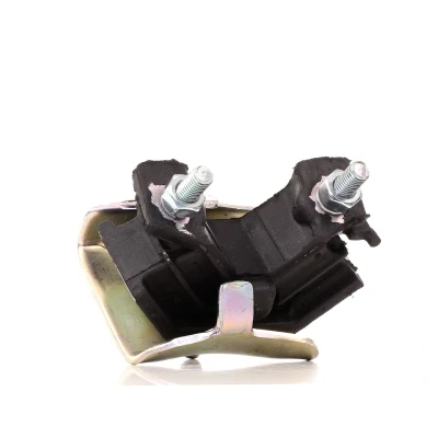 Afbeelding van DELPHI TEM002 Aslichaam / motorsteunlager RENAULT: MEGANE 1 Classic, Coach,