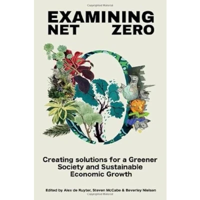 Afbeelding van Examining Net Zero