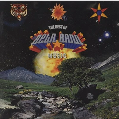 Afbeelding van Best of the Beta Band