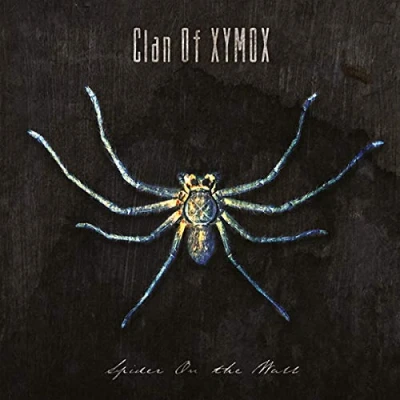 Afbeelding van Clan of Xymox Spider On the Wall (LP)