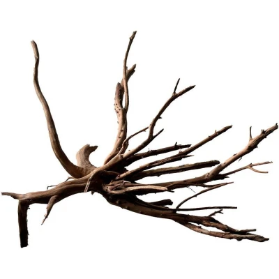 Afbeelding van Black spiderwood medium Aquadistri