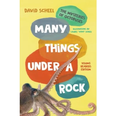 Afbeelding van Many Things Under a Rock Young Readers Edition