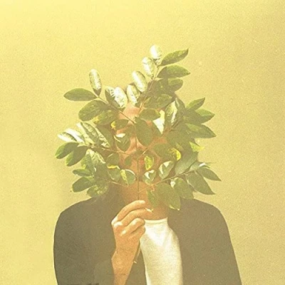 Afbeelding van French Kiwi Juice (2Lp) (LP)