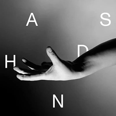 Afbeelding van Wallis Bird Hands (LP)