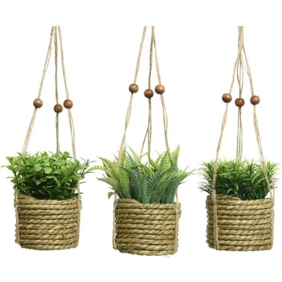 Afbeelding van Decoratieve plant Everlands 8 x 12 cm Hanger Touw Groen PVC