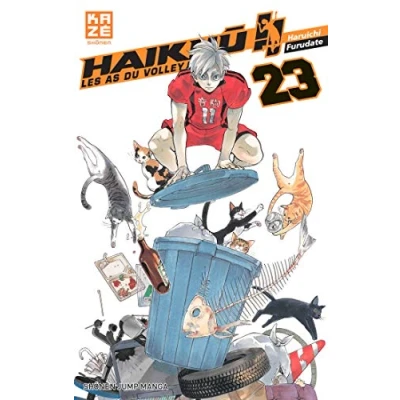 Afbeelding van Haikyu, les as du volley