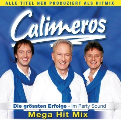 Afbeelding van Die Grobten Erfolge Mega Hit Mix
