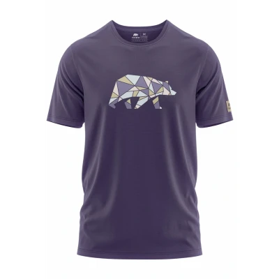 Afbeelding van Forsberg Espenson Tshirt print, Heren, Maat: XXL, Purple