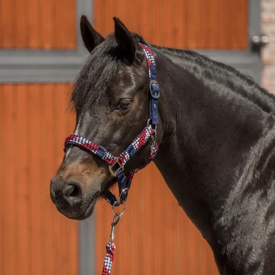 Afbeelding van Red Horse Halsterset Halster &amp; Touw SS22 Green Maat Pony