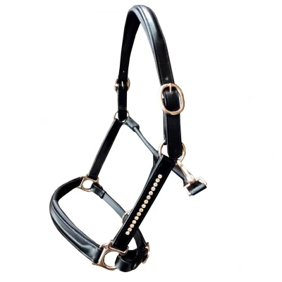 Image de HB Showtime Licol Rose Gold Cuir Noir Cob