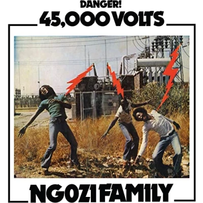 Afbeelding van Ngozi Family 45000 Volts