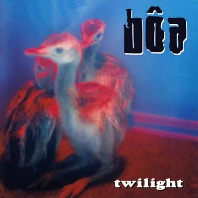 Afbeelding van Twilight