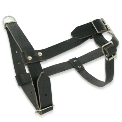 Afbeelding van Rammen halster zwart leder xl